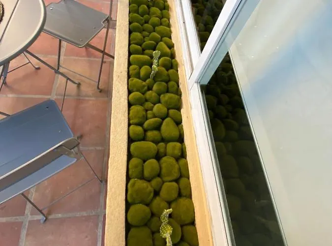 דירה Duplex 2 Dorm / 2 Wc *